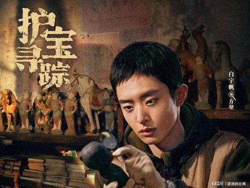 护宝风云在线观看  第3张